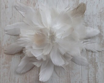 The case of 55 swan feathers. Processed