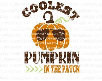 Pumpkin boy svg, Pumpkin svg, boy pumpkin svg, pumpkin dxf, halloween svg files, fall svg files, boy svg files, coolest pumpkin in the patch