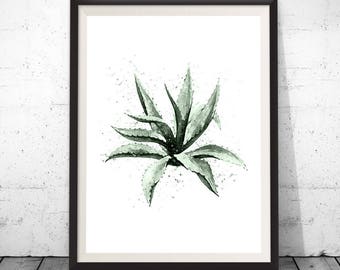 Cactus Art Print, Best Selling Items, Cactus Printable Art, Cactus Poster, Cacti Decor, Cactus Photography, Cacti Art, Cactus Prints,Cactus