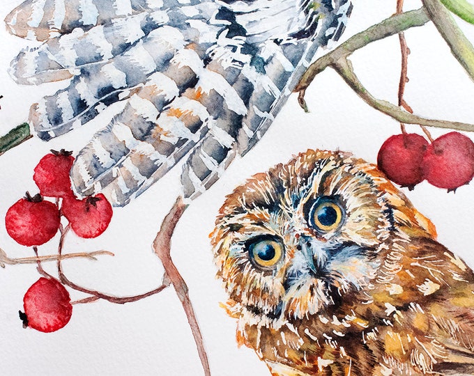 Watercolor Owls, Large ORIGINAL Watercolor Painting Owls Art, Owl Watercolor, Owl Art, Watercolor Owl Painting, Owl Wall Art, Owls Painting