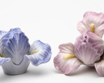 Iris Salt and Pepper Shaker Set (20892)