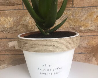 aloe! is it me you're looking for | funny pot plant with a pun| music lyrics | lionel richie