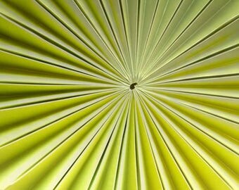 Origami lampshade