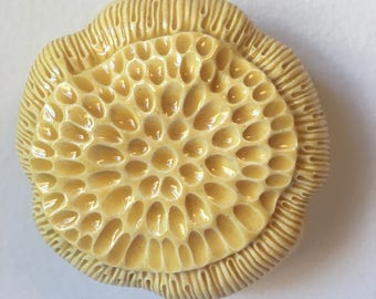 Yellow Anemone Ceramic Bloom Pod Wall Art