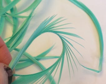 20 Pieces Premium Mint green Biot Goose Feathers Great for Crafts