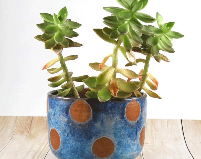 Ceramic Planter, Ceramic Flower Pot, Pottery Flower Pot, Pottery Planter, Ceramic Pot, Handmade Pottery, Blue Planter, Home Decor, FP02