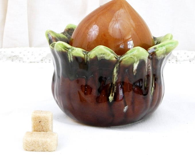 Vintage Mid Century 1960s Ceramic Hazelnut Sugar Bowl in Vallauris Style from the South of France, Nut Shaped Pottery Pot / Container