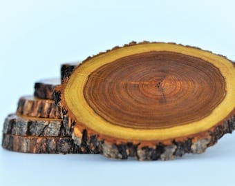 Coasters - Texas Mesquite Wood Coasters - Set of 6
