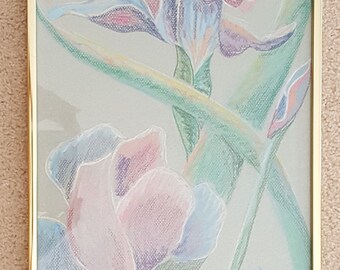 Spring Irises