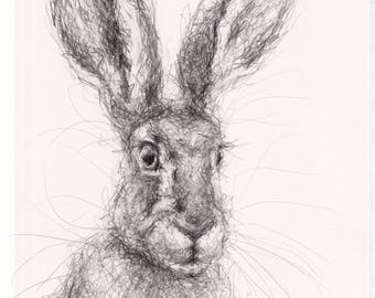 Hare 