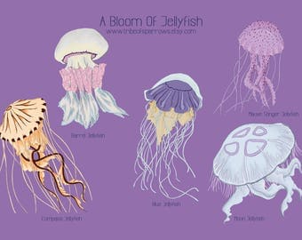 Jellyfish print | Etsy