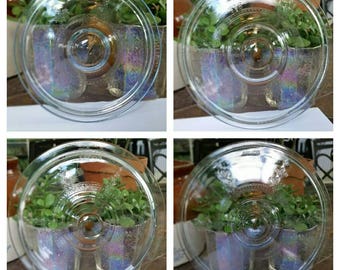 Your Missing Fire King Philbe Round Ovenware Lid!