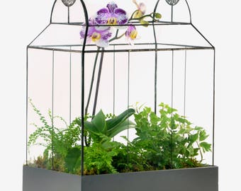 H Potter Plant Terrarium Glass Container Wardian Case 105