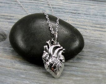 Anatomical Heart Necklace, Sterling Silver Anatomical Heart Charm on a Silver Cable Chain