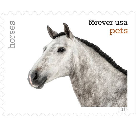 5 Unused Horse Forever Stamps // Horses Postage Stamps For