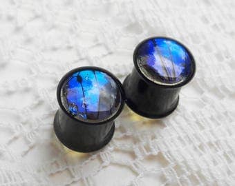Ear Plugs - Gauge Jewelry - Organic Plugs - Ear Gauges - Plugs and Tunnels - 7/16 inch - 11mm Plugs - Sapphire Shimmer