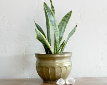 Brass Planter, Hammered Brass Planter, Brass Plant Pot, Brass Plant Holder Indoor Planter, Textured Planter Decorative Planter Garden Pot