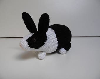 Black and white rabbit
