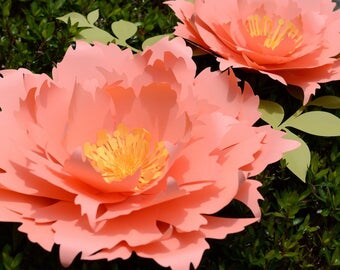 Paper flower template. PDF and SVG. 2 sizes. Cornflower.