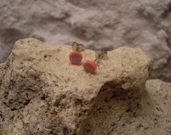 Special chips mini collection"tangy" dragon fruit