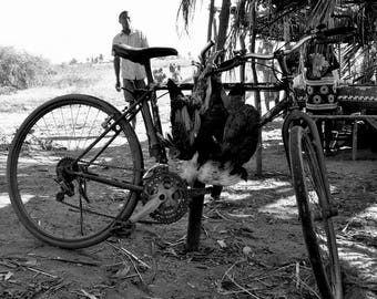 Photography black and white: "Beware of funeral" - Morondave, MADAGASCAR - 2015