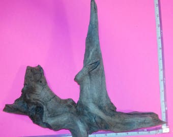 Driftwood / Arts & Crafts / DIY Supply / Beach Decor / Home Decor / Reptile Tanks / Jewelry Display