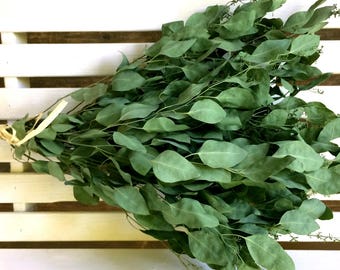 SALE Dried FLOWERS Early Seeded EUCALYPTUS Flower Bunch air dried flower bunch Prim Wedding Shabby floral Dried flower bunch green filler