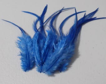 Craft Feathers - Sapphire Blue Craft Feathers qty 12
