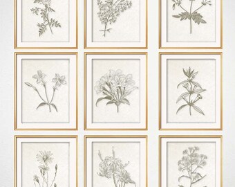 Set Of 9 Botanical Prints Modern Farmhouse Wall Art Rustic Living Room Set Of 9 Botanical Prints Modern Farmhouse Wall Art Rustic Living Room