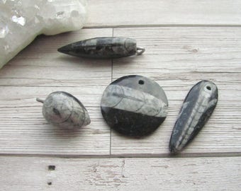Orthoceras Fossil Pendant - Prehistoric Jewellery - Polished Natural Fossil Necklace - Children/ Men