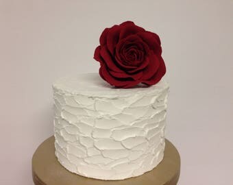 6" Faux Cake. Cake for photo shot. Not edible. Fake cake