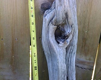 Natural Driftwood Piece DIY Woodworking Driftwood Pieces With Natural Hole Art Projects Craft Supplies Driftwood Lot