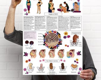 The Journey of Birth poster-18" x 24" pregnancy/ birth art/ educational poster/ midwife/ doula/ childbirth/ labor