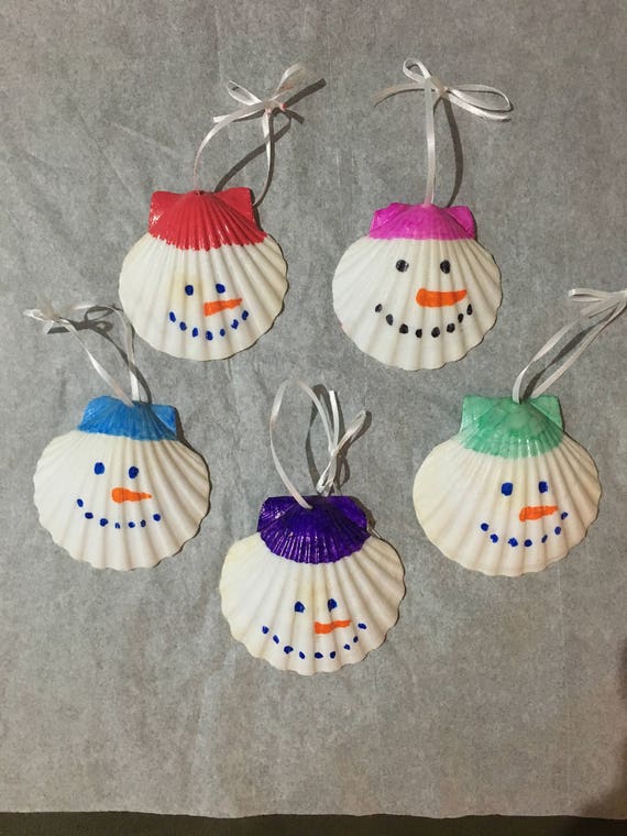  Christmas  scallop shell ornaments 