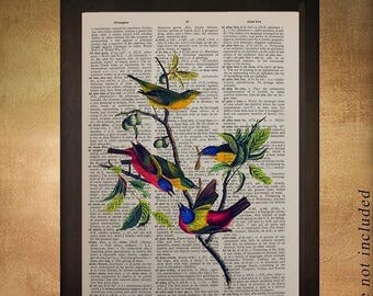SALE-SHIPS Aug 22- Painted Finch Dictionary Art Print Audubon Bird Wall Art Fine Art Print Home Songbird Decor Gift Ideas da645