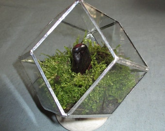 Ask rhombic dodecahedron