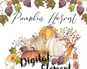Pumkin Watercolor Clip-art, Pumkin and Fall Harvest Clip-art, Watercolor Fall Clip-art, Fall Thanksgiving Clip-art. No. WC59