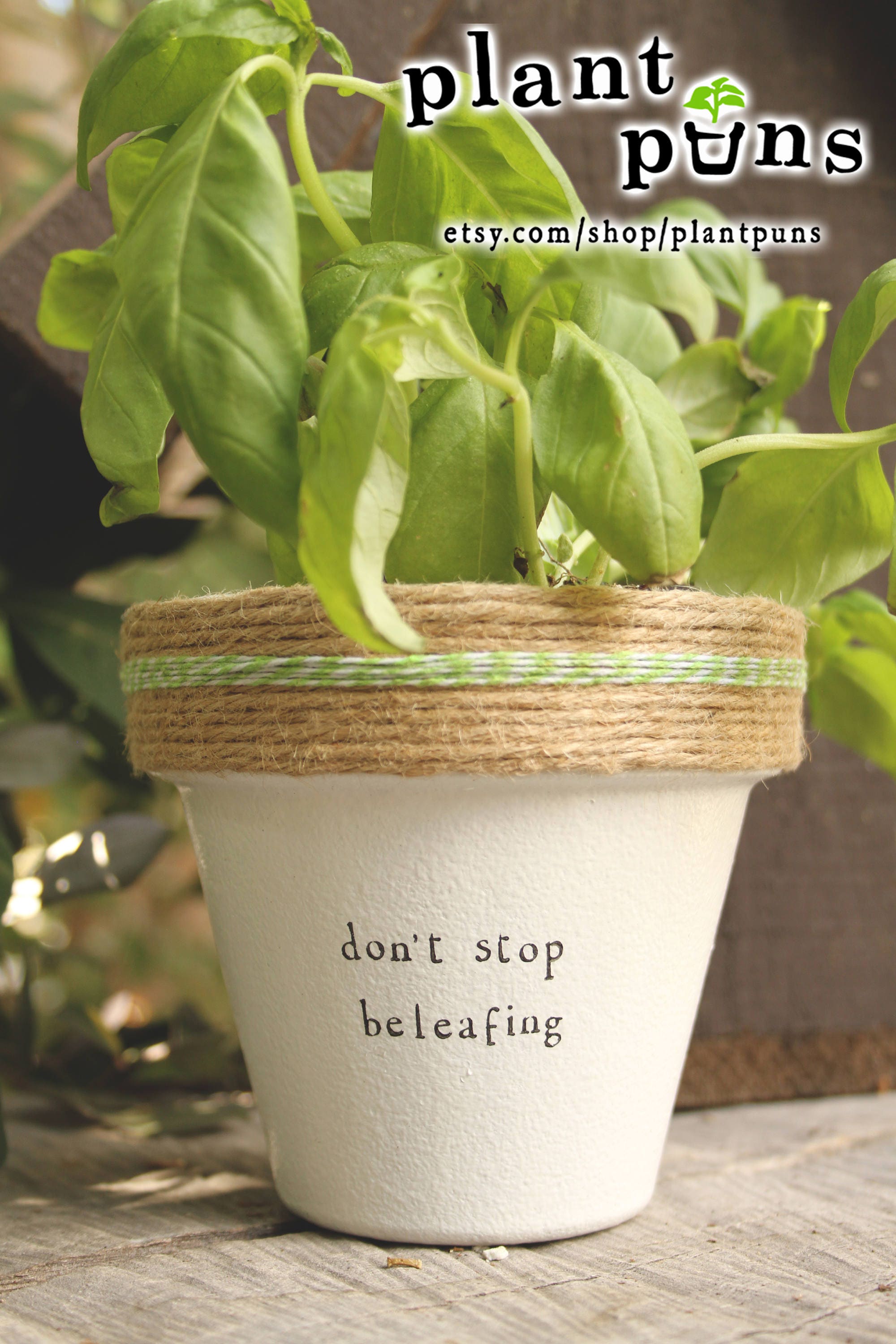 4 Don�t Stop Beleafing Fern Herb Houseplant Indoor