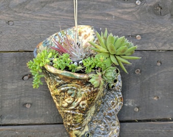 Ceramic wall pocket, succulent planter, wall planter, air plant holder, hanging planter