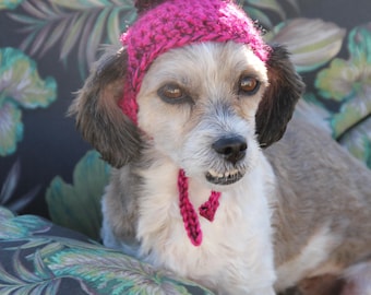 Puppy Hat, Dog Hat, Pom Pom Dog Hat, Pom Pom Dog Beanie,