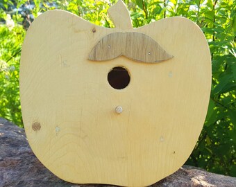 Apple Shaped Birdhouse (Bird House): Handmade birdhouses (bird houses), Hand made birdbox (bird box)