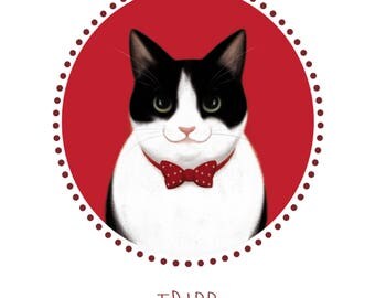 Custom cat portrait-Cat portrait custom-Pet portrait-Custom portrait illustration-Cat drawing-Custom pet illustration-Pet portrait cat-Art