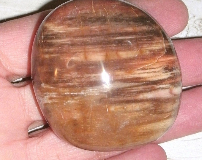 Fantastic Petrified Wood Polished palm stone, multicolored, several hues of browns and reds, metaphysical, meditation, fossil display, rocks