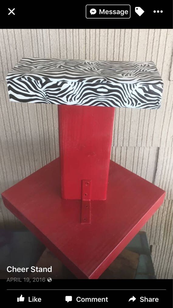 Custom Cheer Stand Flyer Stand Stunt