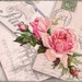 French Shabby Rose