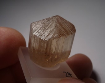 Yellow SCAPOLITE raw Crystal (6, 7gramm) Yellow Scapolite Crystal rough, Tanzania #5