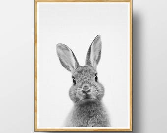 Printable rabbit | Etsy