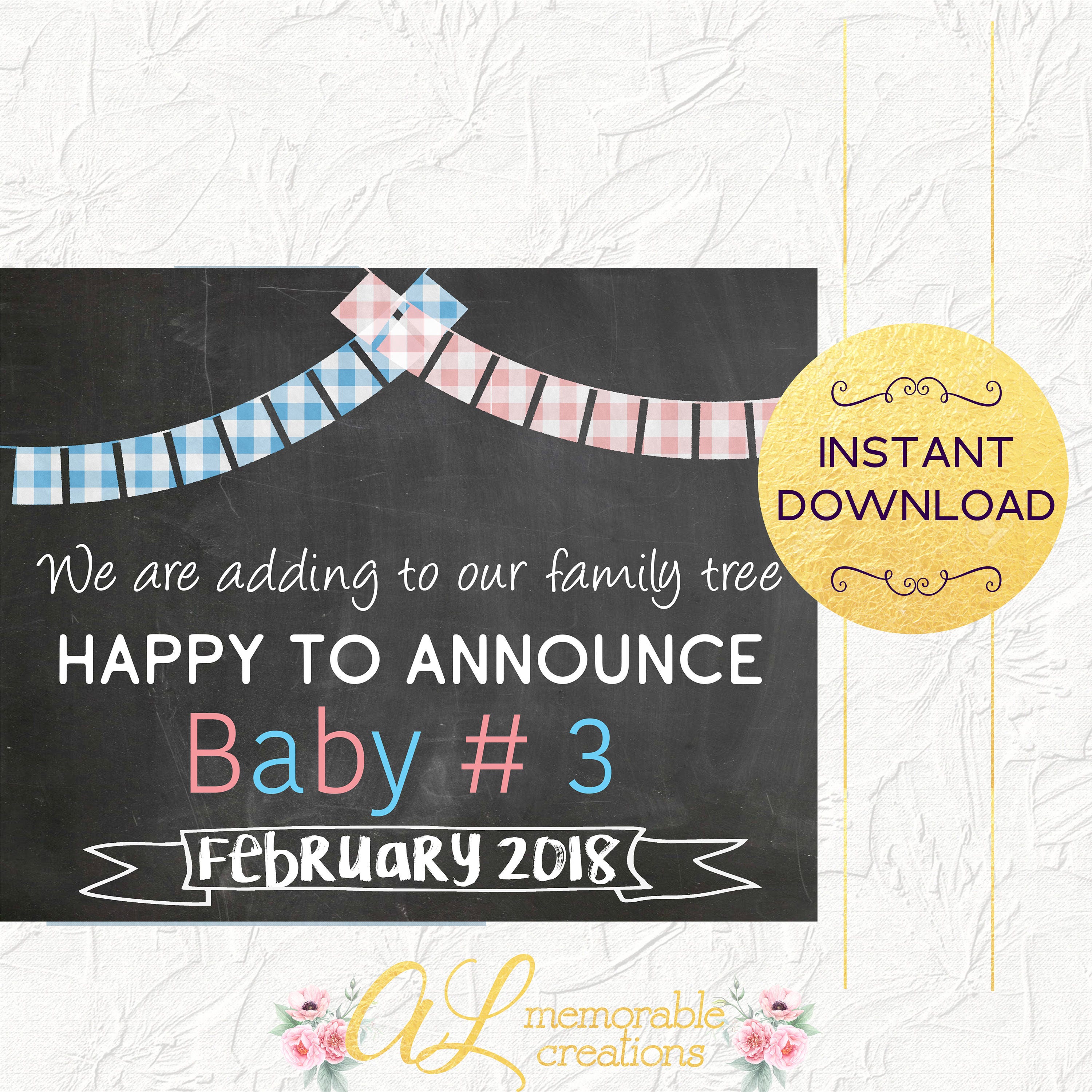 Baby Number 3 Pregnancy Announcement Adding to Our Family