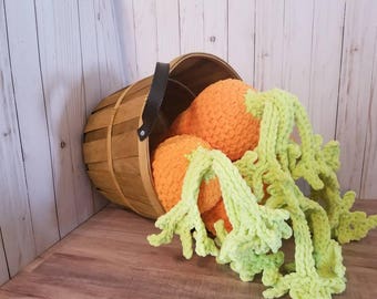 giant stuffed carrot