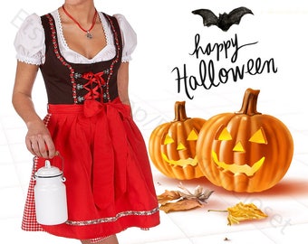Halloween Costume, Dirndl Dress 3 Piece for Oktoberfest. Traditional German, Austrian Style - Halloween Party Outfit With Apron and Blouse